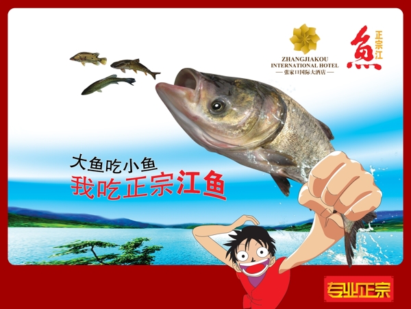 酒店魚類