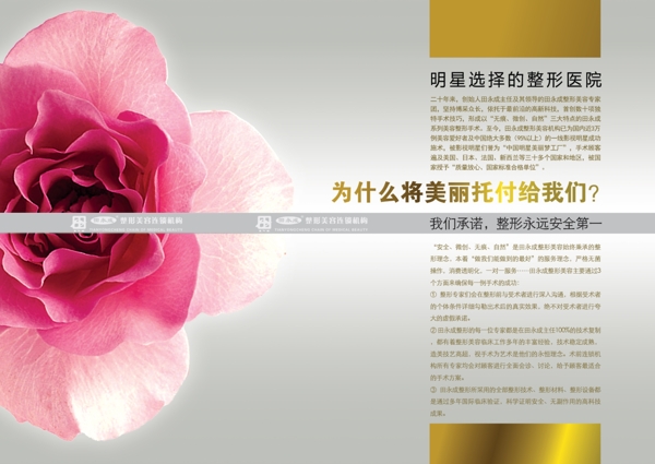 微整形畫冊(cè)圖片