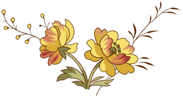 小黃花的PSD素材