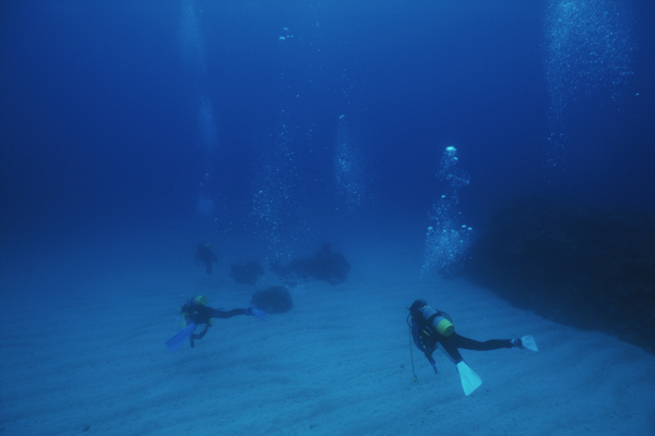 海底世界游泳潜水员素材共享大海海底