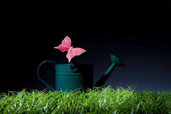 草丛中洒水壶上的粉蝴蝶图片