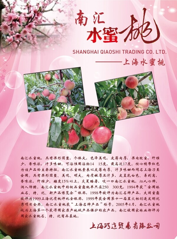 水蜜桃宣傳單