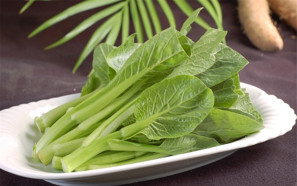 菜心圖片