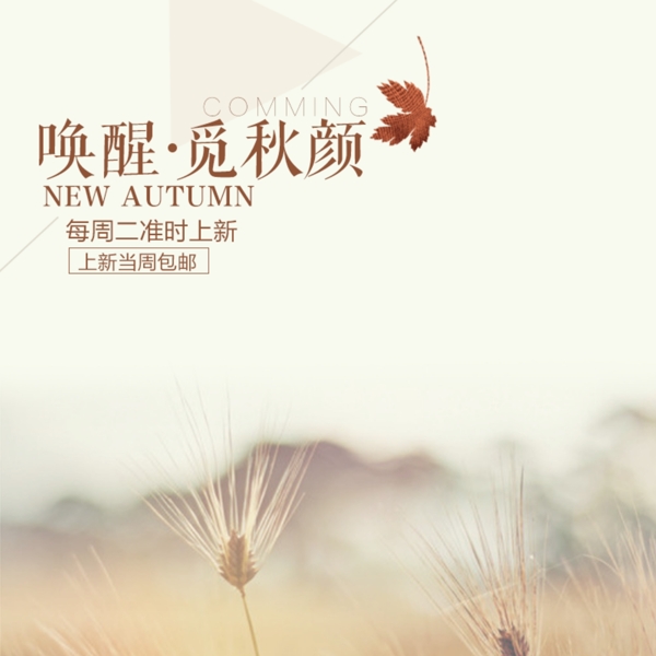 秋季淘寶電商背景