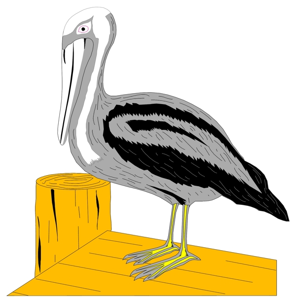 各種鳥(niǎo)類(lèi)鳥(niǎo)動(dòng)物矢量素材EPS格式1241