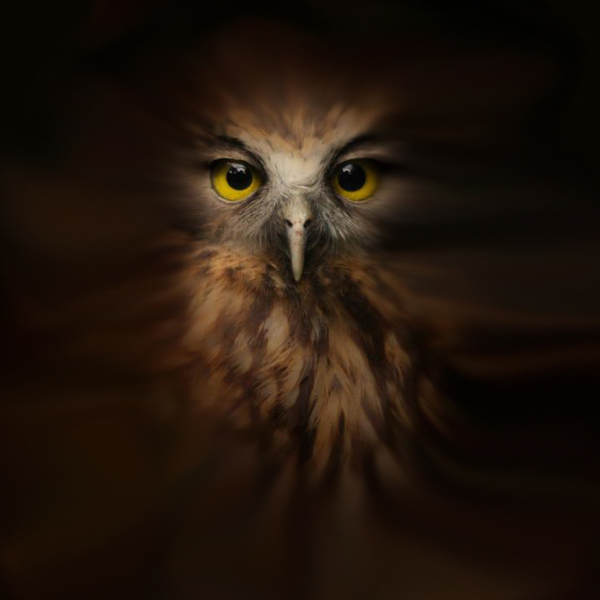 位圖插畫時尚插畫動物插畫藝術效果免費素材
