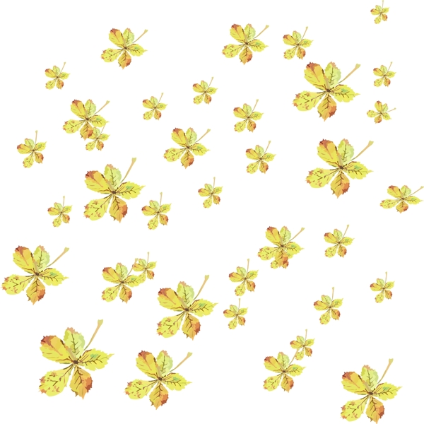 手绘植物漂浮树叶黄绿色枫叶