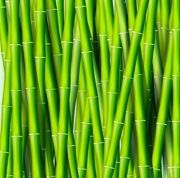 绿色清新竹子背景