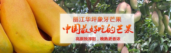象牙芒果海報(bào)