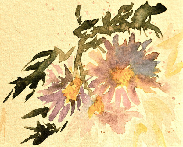 位圖植物寫(xiě)意花卉花朵免費(fèi)素材