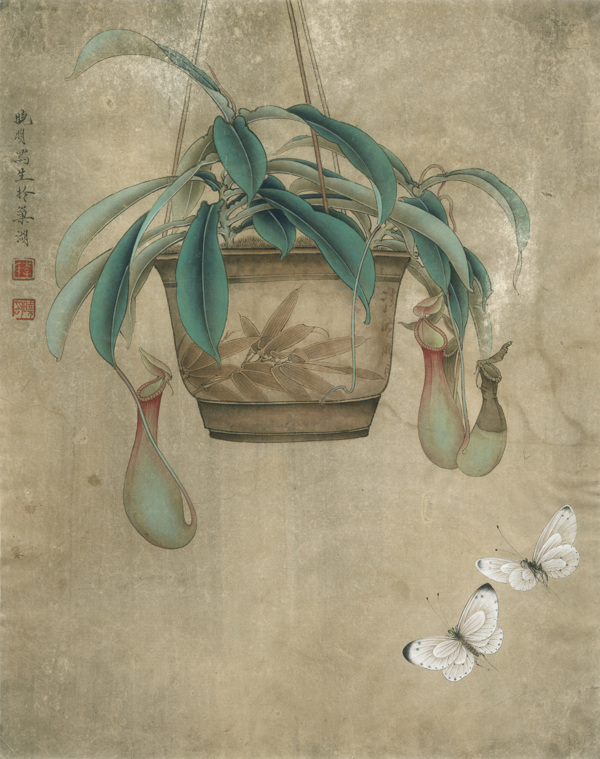 和風(fēng)圖圖片