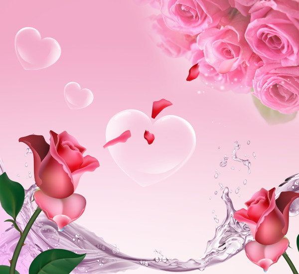 爱心气泡玫瑰背景图片