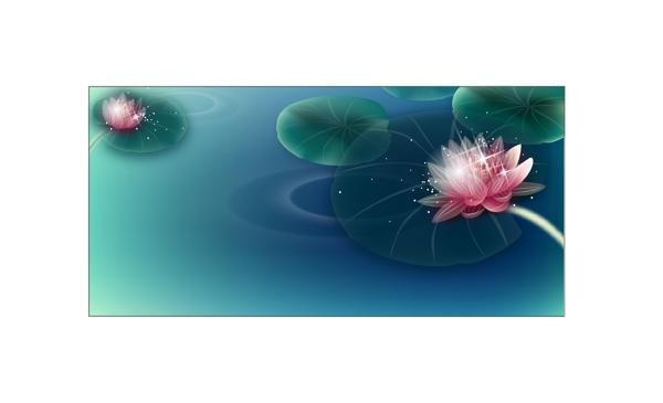 荷花圖片