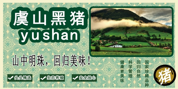 黑豬戶外廣告