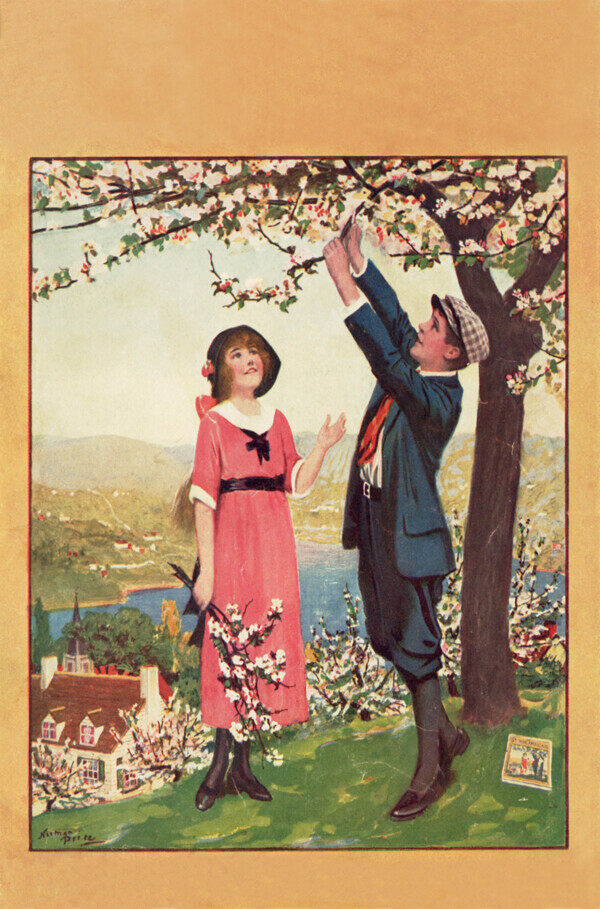 桃花树下的爱情图片