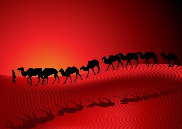 沙漠里的行走的一群骆驼素材