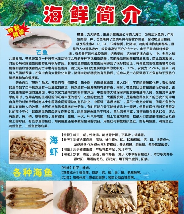 海鮮簡(jiǎn)介海報(bào)圖片