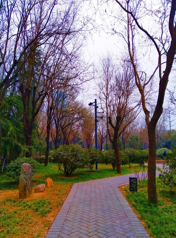 美麗的公園風景
