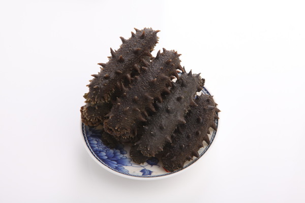 海參圖片
