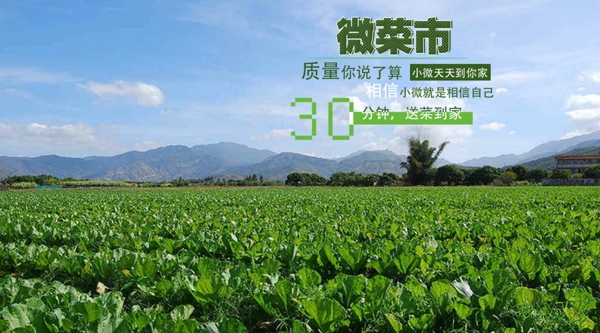 ps高清綠色菜田海報(bào)下載