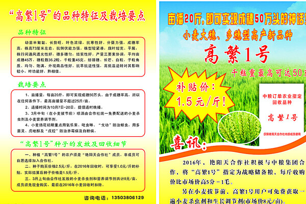 高繁一號(hào)圖片
