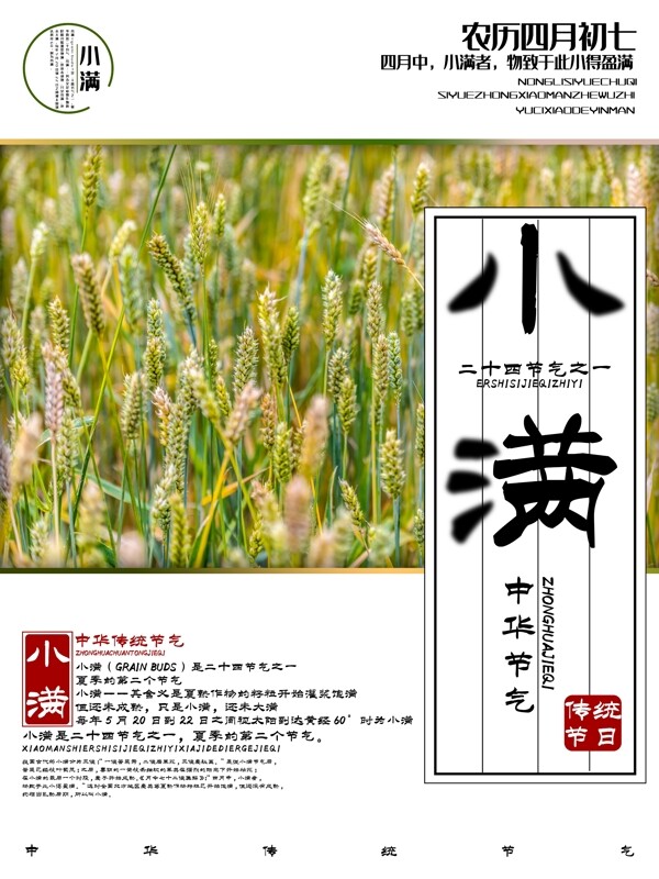 創(chuàng)意小滿節(jié)氣海報