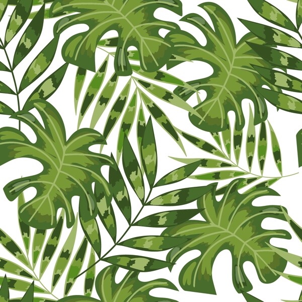 熱帶植物