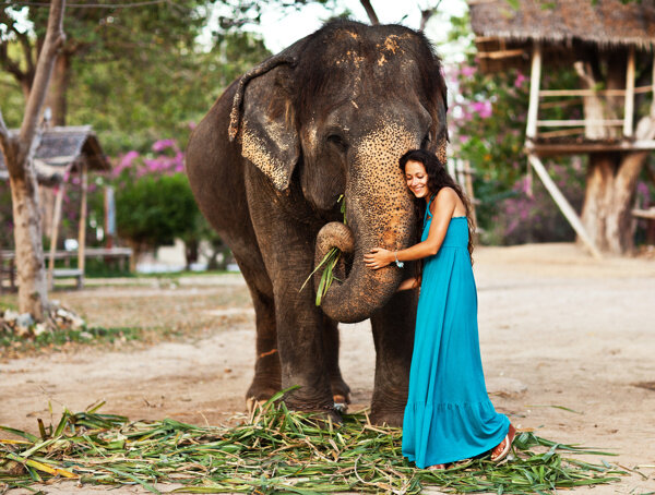 泰国美女和大象图片