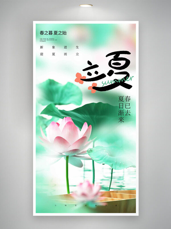 粉色荷花绿叶立夏节气海报