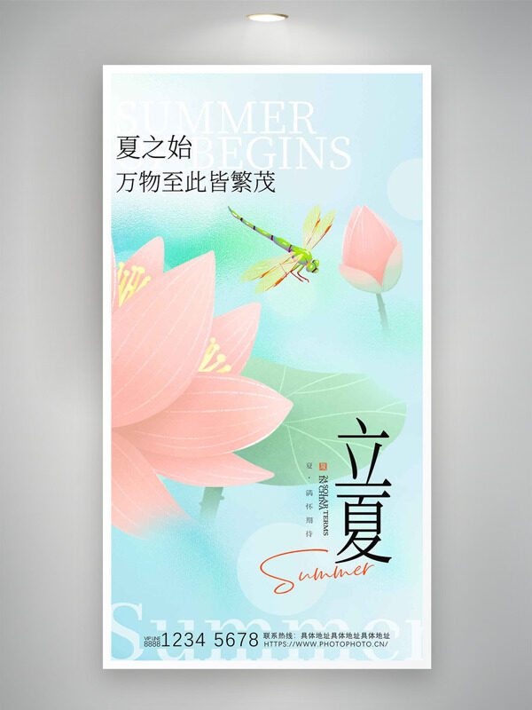 清新婉約粉色荷花蜻蜓元素立夏海報(bào)