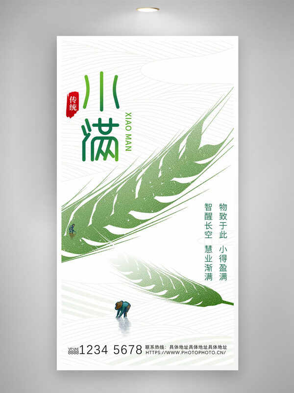 綠色麥穗剪影插畫二十四節(jié)氣小滿海報