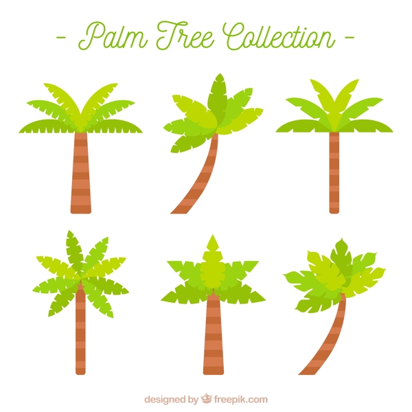 扁平设计中的棕榈树