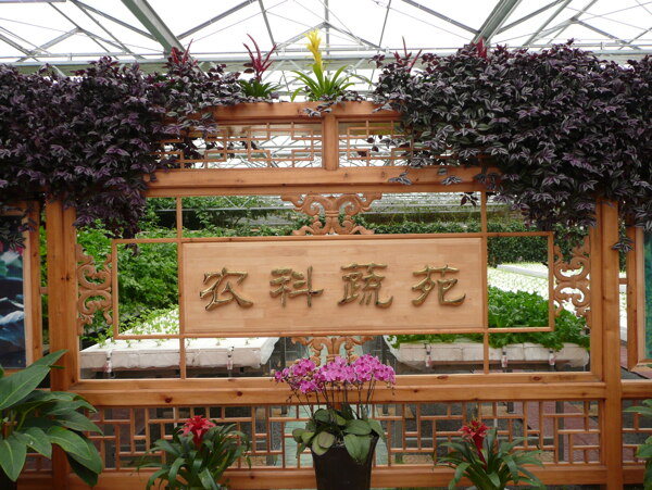高科技生態(tài)園圖片