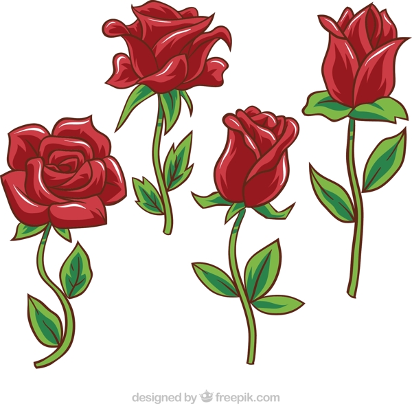 矢量玫瑰花
