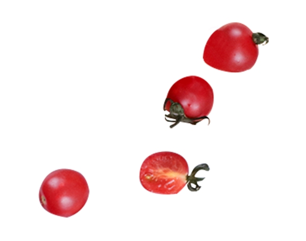 小西红柿水果