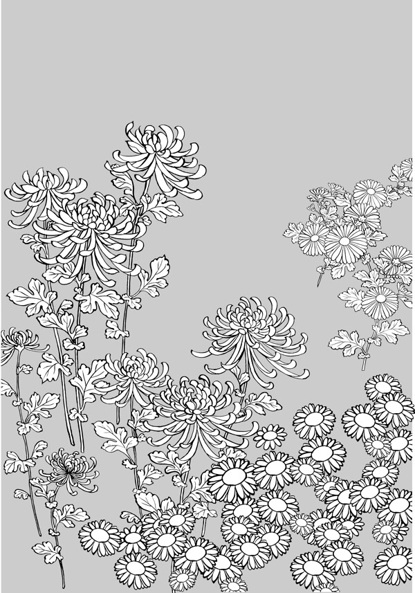 日本线描植物花卉矢量素材27