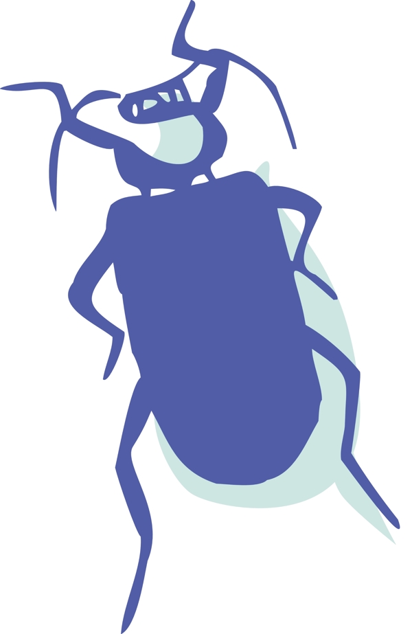 甲虫甲壳虫图片