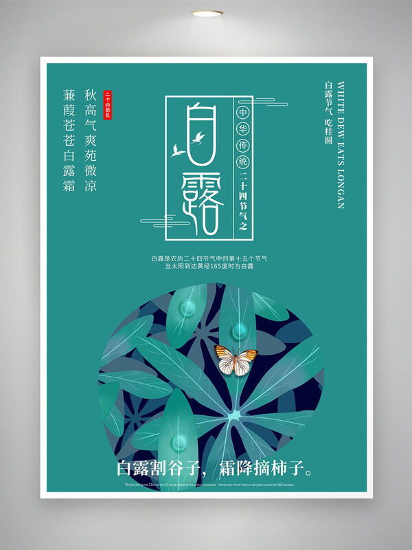 秋高氣爽苑微涼純色背景白露傳統(tǒng)節(jié)氣海報
