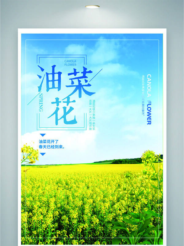 春季主題藍(lán)天白云菜花田海報(bào)