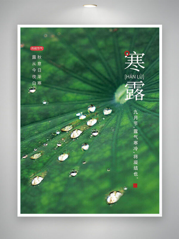 綠色荷葉露珠傳統(tǒng)二十四節(jié)氣之寒露海報