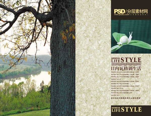 樹(shù)上蝸牛封面封底PSD模板