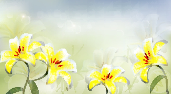 美丽的白色花朵向量背景自由向量