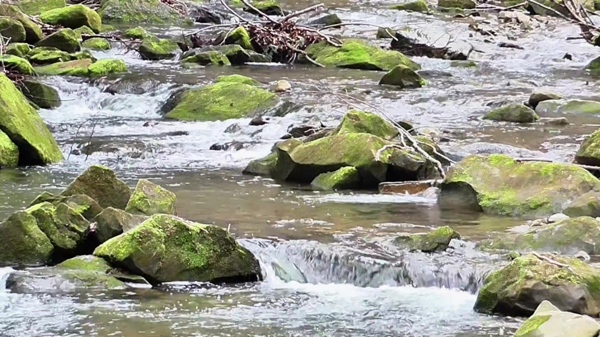 河水石头视频素材