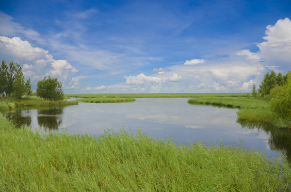 扎龙湿地公园