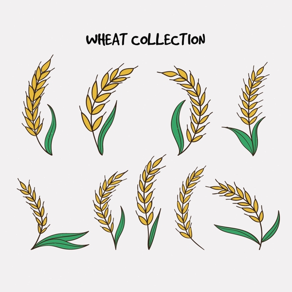 绿色卡通小麦合集插画设计