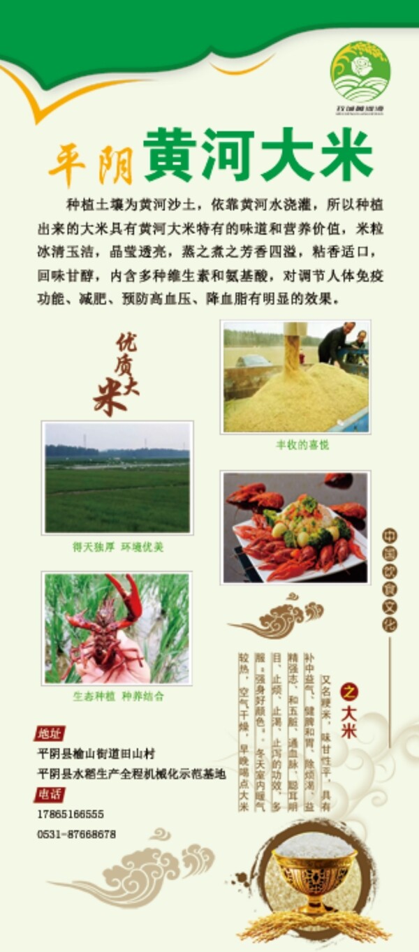 黃河大米