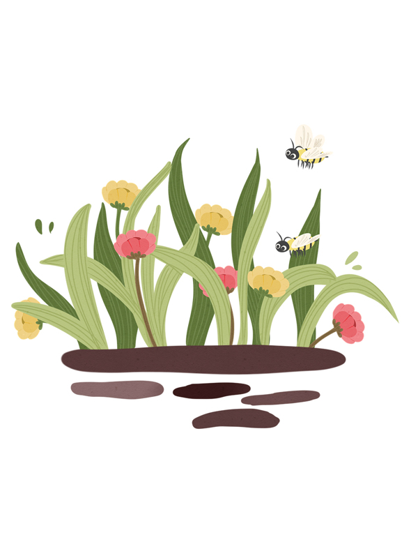 扁平风植物草丛 与小蜜蜂