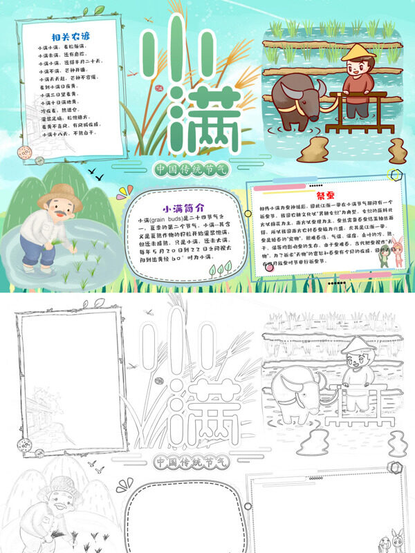 小满小满节气手抄报