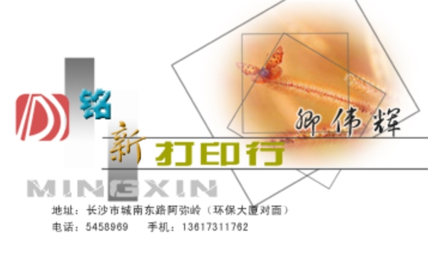 名片模板