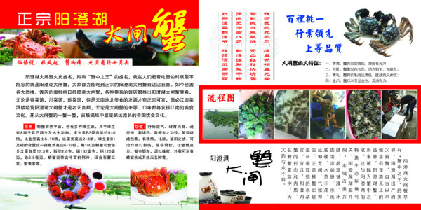 陽(yáng)澄湖大閘蟹展板